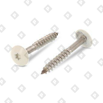 Art. 9086 A2 4,8X25 TX20  RAL 1013 - №1