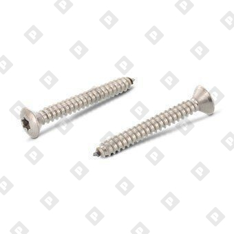 ISO 14587 A4 C 4,2X16 TX20 - №1