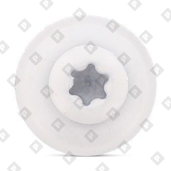 Art. 9087 A2 4,5X60 TX20 - RAL 9010 - №3